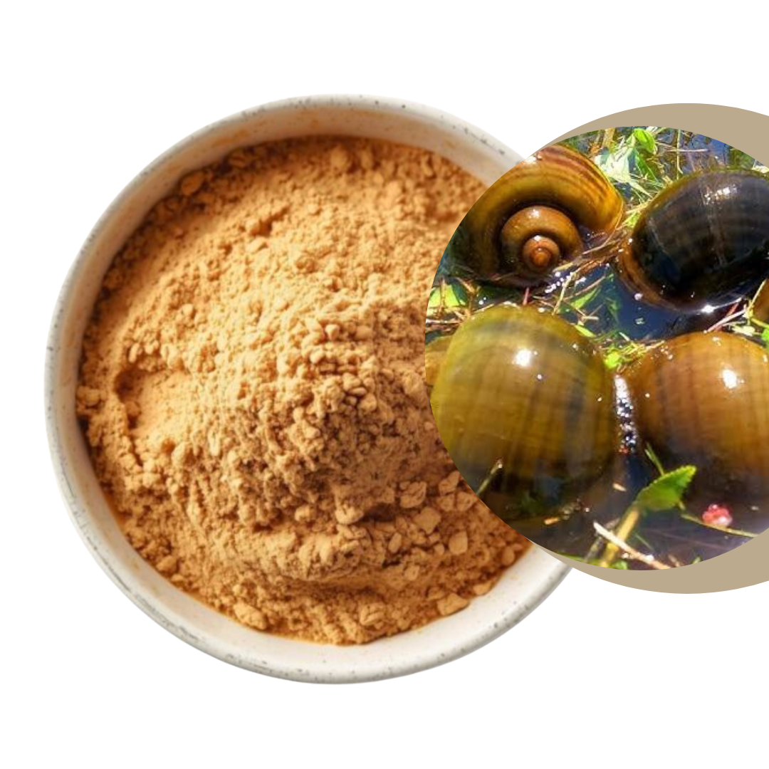 Apple Snail Soup Powder