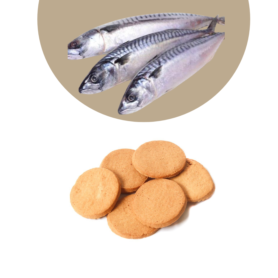 Fish Cookies
