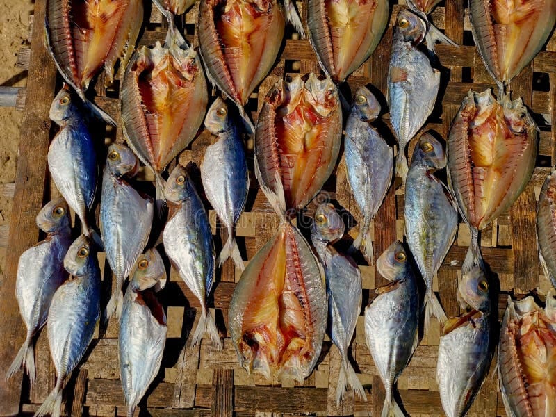Salted Dry Fishes