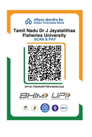 UPI QR Code