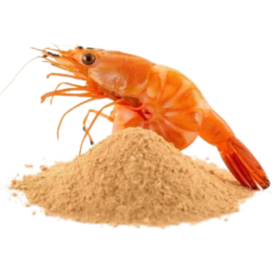 Shrimp Chutney Powder